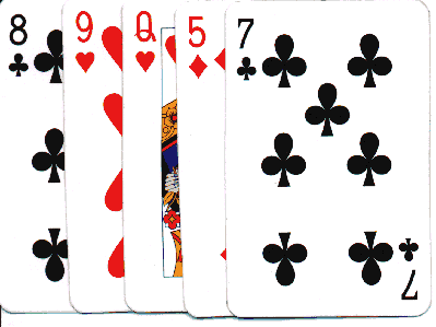 lady.gif (11491 Byte)